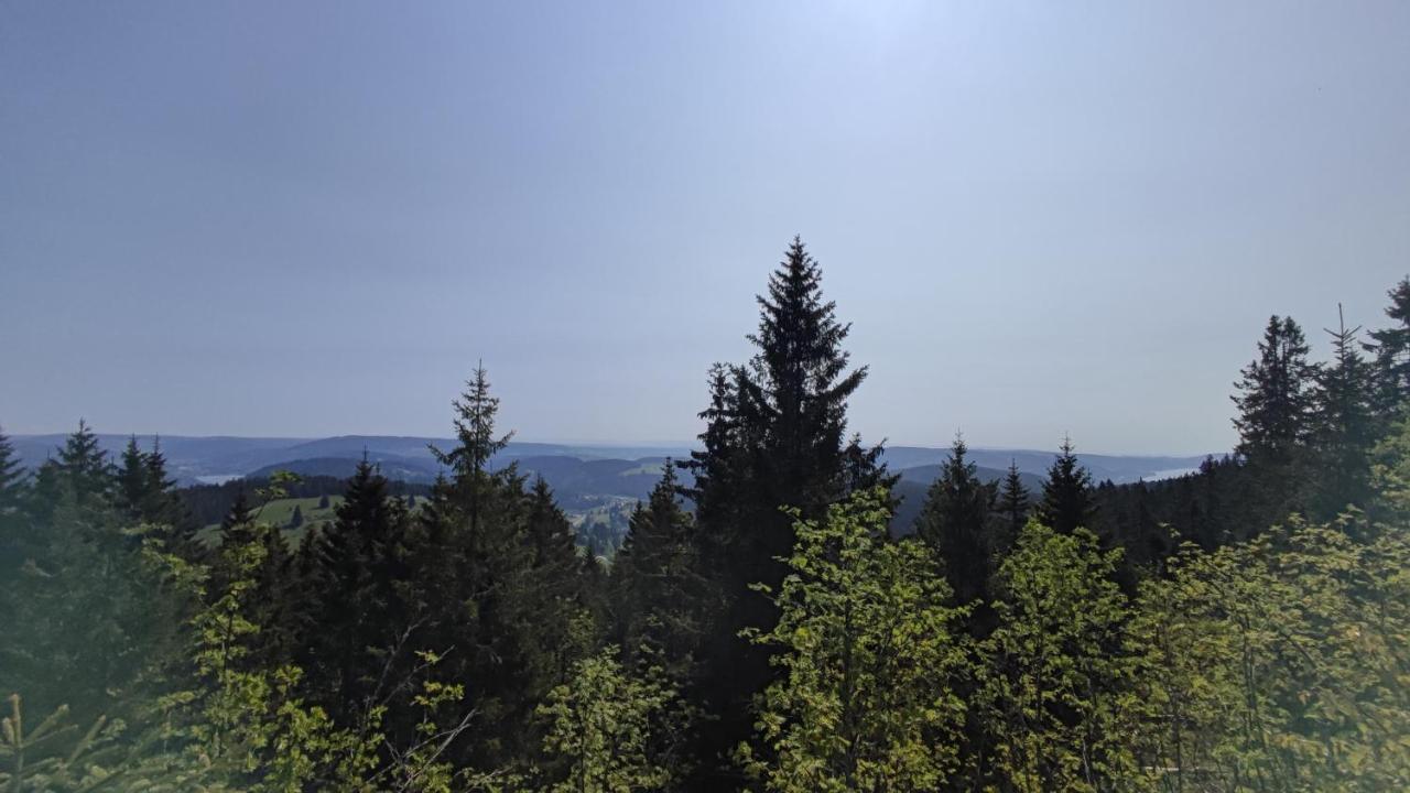 Am Berg Apartment Feldberg  Luaran gambar